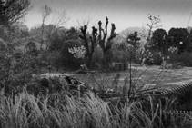 �����^���X�P�b�`�P-33